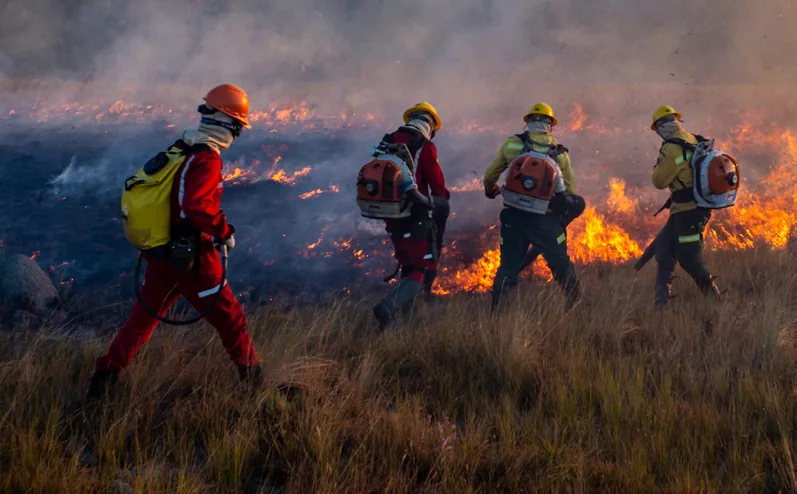 Brigadistas combatendo o fogo em um campo aberto